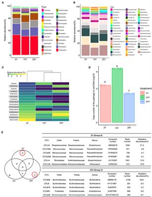 Changes in Bacterial Community Structure and Enriched Functional Bacteria Associated With Turfgrass Monoculture